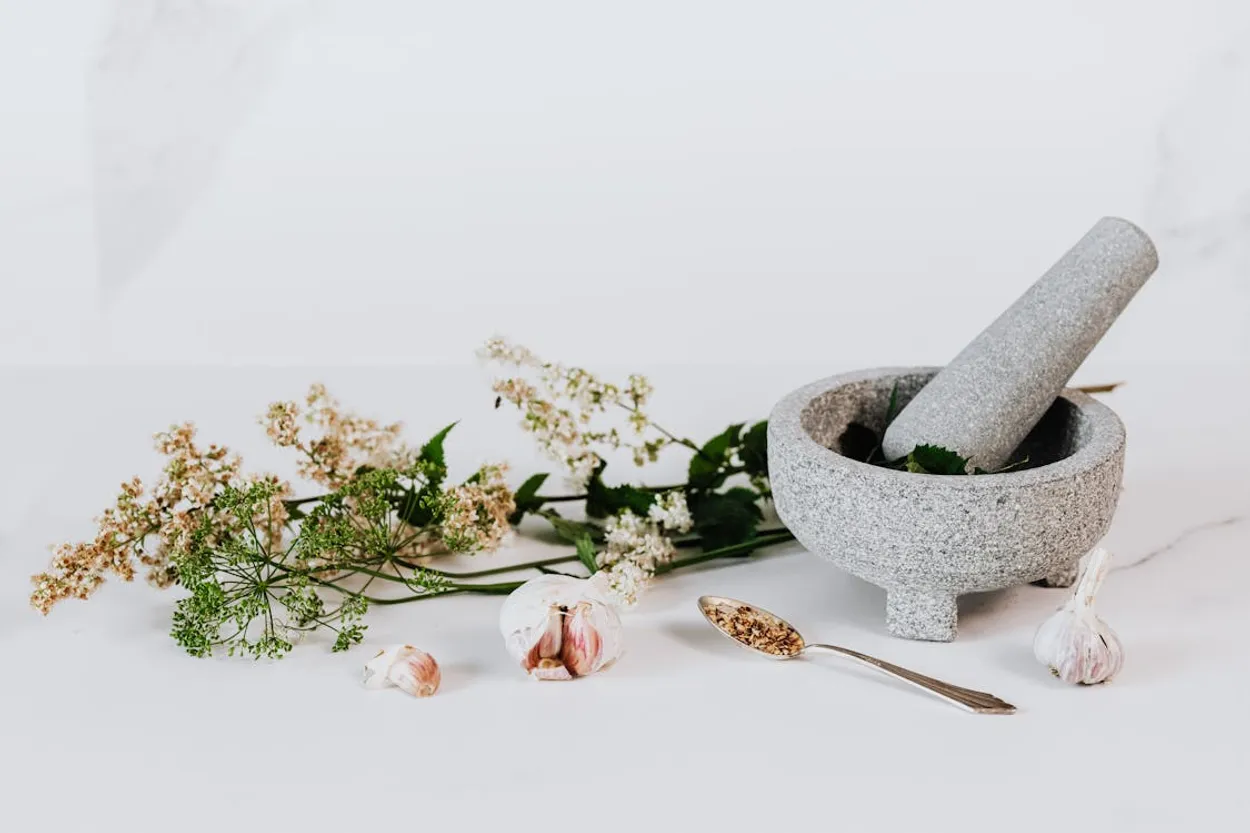 Cover for What Is Naturopathy? A Guide to Natural Healing